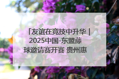 友谊在竞技中升华｜2025中国-东盟藤球邀请赛开赛 贵州惠水燃动“空中芭蕾”