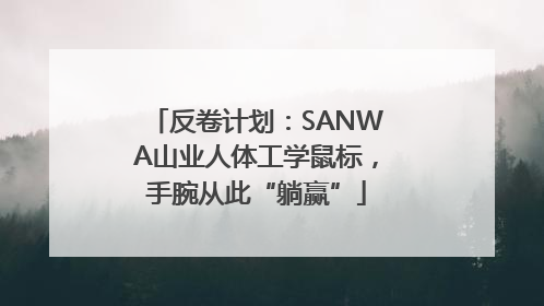 反卷计划：SANWA山业人体工学鼠标，手腕从此“躺赢”