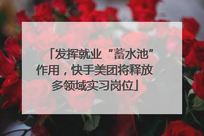 发挥就业“蓄水池”作用，快手美团将释放多领域实习岗位