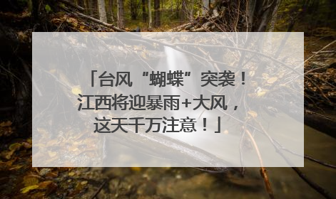 台风“蝴蝶”突袭！江西将迎暴雨+大风，这天千万注意！