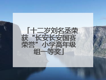 十二岁刘名丞荣获“长安长安国赛荣誉”小学高年级组一等奖