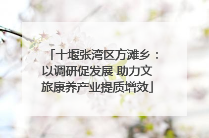 十堰张湾区方滩乡：以调研促发展 助力文旅康养产业提质增效