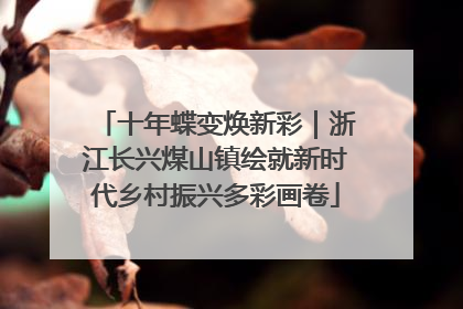 十年蝶变焕新彩｜浙江长兴煤山镇绘就新时代乡村振兴多彩画卷