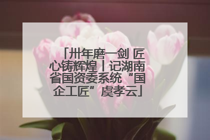 卅年磨一剑 匠心铸辉煌丨记湖南省国资委系统“国企工匠”虞孝云