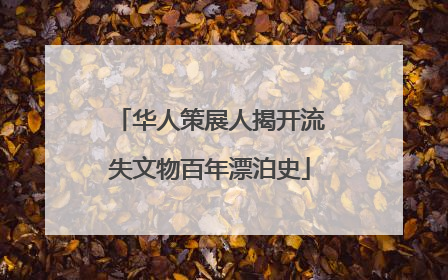 华人策展人揭开流失文物百年漂泊史