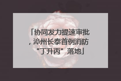 协同发力提速审批，漳州长泰首例消防“丁升丙”落地