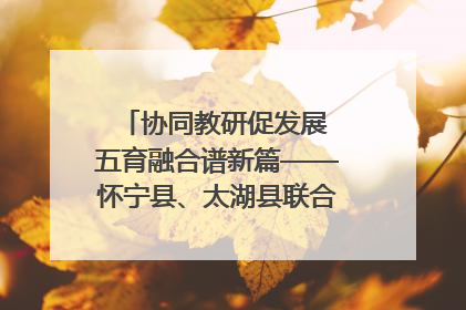 协同教研促发展 五育融合谱新篇——怀宁县、太湖县联合教研活动在月山镇中心学校成功举办