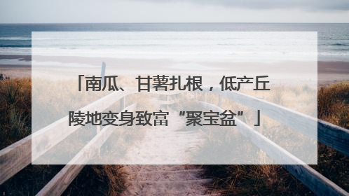 南瓜、甘薯扎根，低产丘陵地变身致富“聚宝盆”