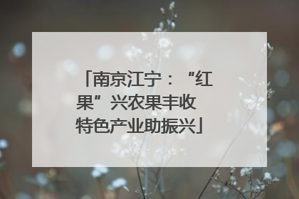 南京江宁：“红果”兴农果丰收 特色产业助振兴