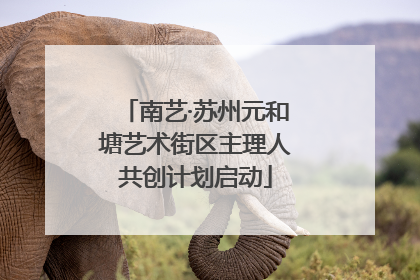 南艺·苏州元和塘艺术街区主理人共创计划启动