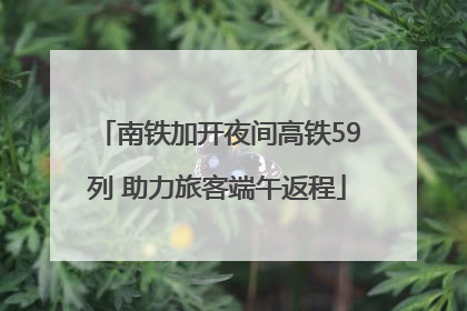 南铁加开夜间高铁59列 助力旅客端午返程