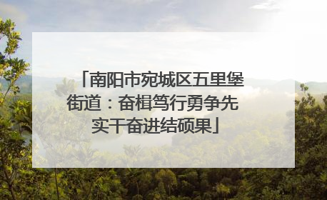 南阳市宛城区五里堡街道：奋楫笃行勇争先 实干奋进结硕果