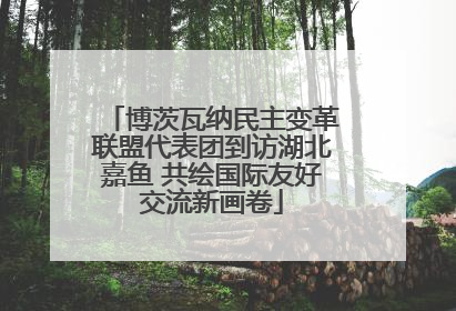 博茨瓦纳民主变革联盟代表团到访湖北嘉鱼 共绘国际友好交流新画卷
