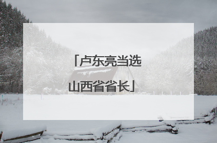 卢东亮当选山西省省长