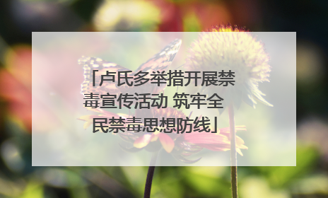 卢氏多举措开展禁毒宣传活动 筑牢全民禁毒思想防线