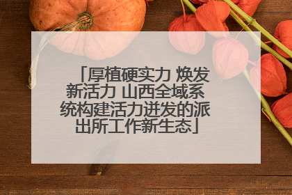 厚植硬实力 焕发新活力 山西全域系统构建活力迸发的派出所工作新生态