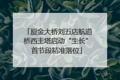 厦金大桥刘五店航道桥西主塔启动“生长” 首节段精准落位
