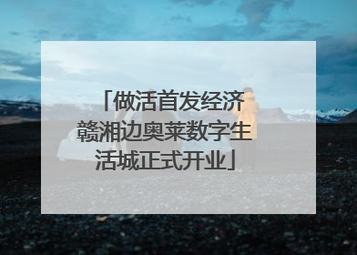 做活首发经济 赣湘边奥莱数字生活城正式开业