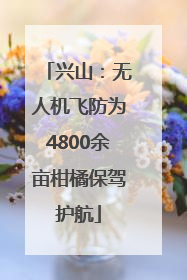 兴山：无人机飞防为4800余亩柑橘保驾护航