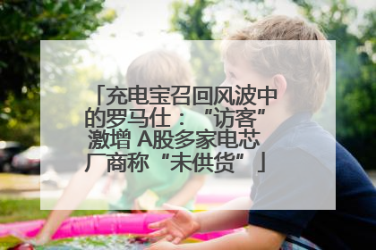 充电宝召回风波中的罗马仕：“访客”激增 A股多家电芯厂商称“未供货”