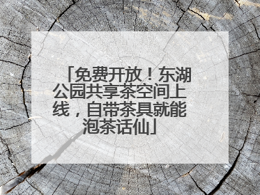 免费开放！东湖公园共享茶空间上线，自带茶具就能泡茶话仙