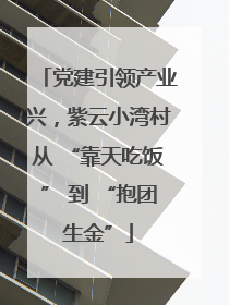 党建引领产业兴，紫云小湾村从 “靠天吃饭” 到 “抱团生金”
