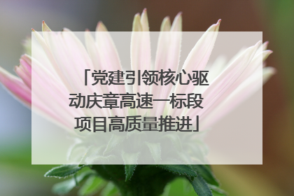 党建引领核心驱动庆章高速一标段项目高质量推进