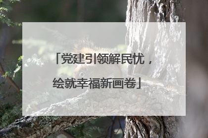 党建引领解民忧，绘就幸福新画卷
