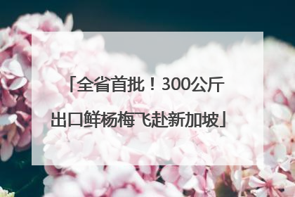 全省首批！300公斤出口鲜杨梅飞赴新加坡