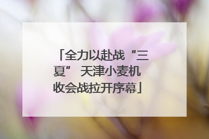 全力以赴战“三夏” 天津小麦机收会战拉开序幕