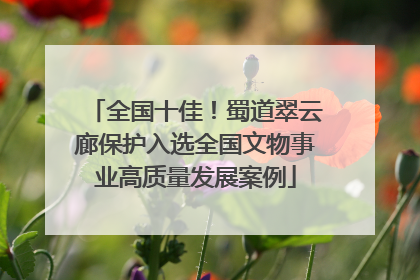 全国十佳！蜀道翠云廊保护入选全国文物事业高质量发展案例