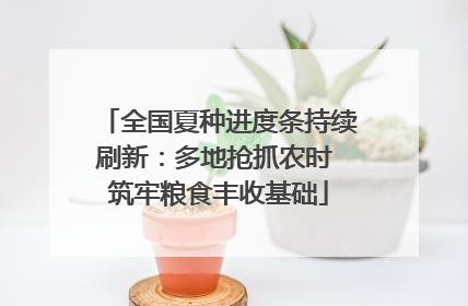 全国夏种进度条持续刷新：多地抢抓农时 筑牢粮食丰收基础