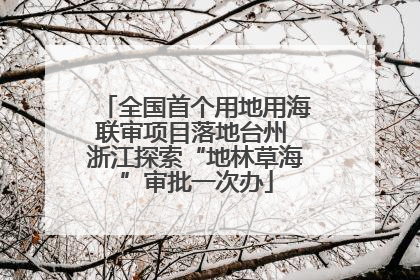 全国首个用地用海联审项目落地台州 浙江探索“地林草海”审批一次办