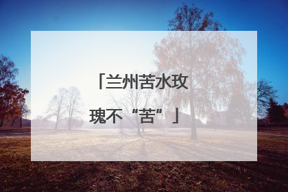 兰州苦水玫瑰不“苦”