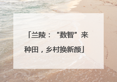 兰陵：“数智”来种田，乡村换新颜