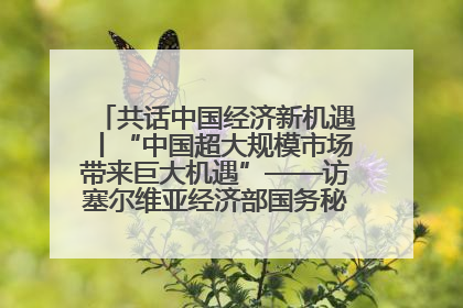 共话中国经济新机遇丨“中国超大规模市场带来巨大机遇”——访塞尔维亚经济部国务秘书尼科利奇
