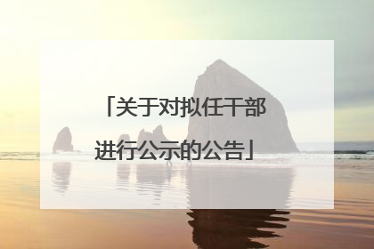关于对拟任干部进行公示的公告