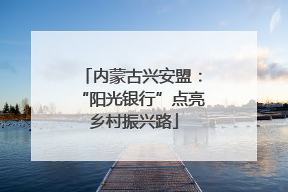 内蒙古兴安盟：“阳光银行”点亮乡村振兴路