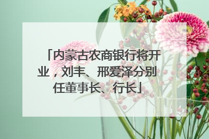 内蒙古农商银行将开业，刘丰、邢爱泽分别任董事长、行长