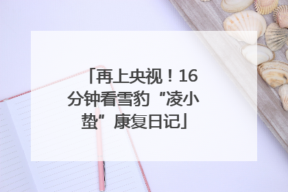 再上央视！16分钟看雪豹“凌小蛰”康复日记