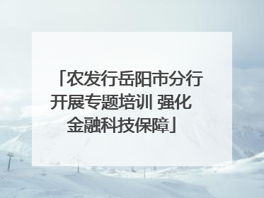 农发行岳阳市分行开展专题培训 强化金融科技保障