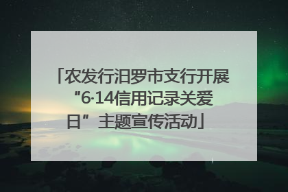 农发行汨罗市支行开展“6·14信用记录关爱日”主题宣传活动