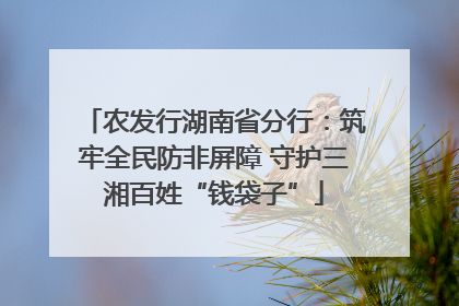农发行湖南省分行：筑牢全民防非屏障 守护三湘百姓“钱袋子”