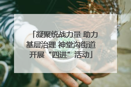 凝聚统战力量 助力基层治理 神堂沟街道开展“四进”活动