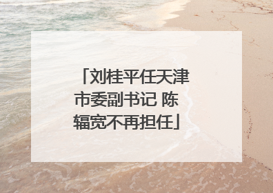 刘桂平任天津市委副书记 陈辐宽不再担任