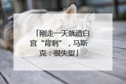 刚走一天就遭白宫“背刺”，马斯克：很失望