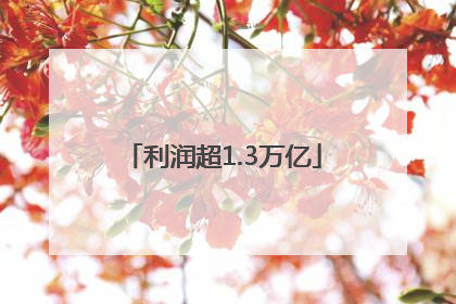 利润超1.3万亿