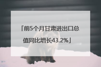 前5个月甘肃进出口总值同比增长43.2%