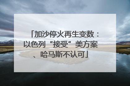 加沙停火再生变数：以色列“接受”美方案、哈马斯不认可