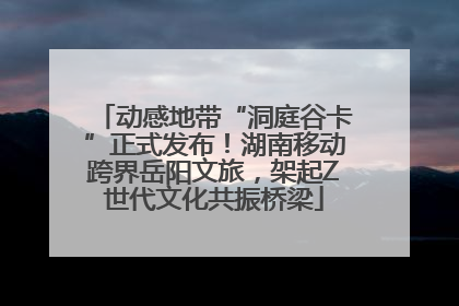 动感地带“洞庭谷卡”正式发布！湖南移动跨界岳阳文旅，架起Z世代文化共振桥梁